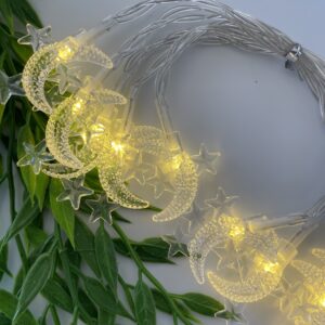 Moon and Star Lights