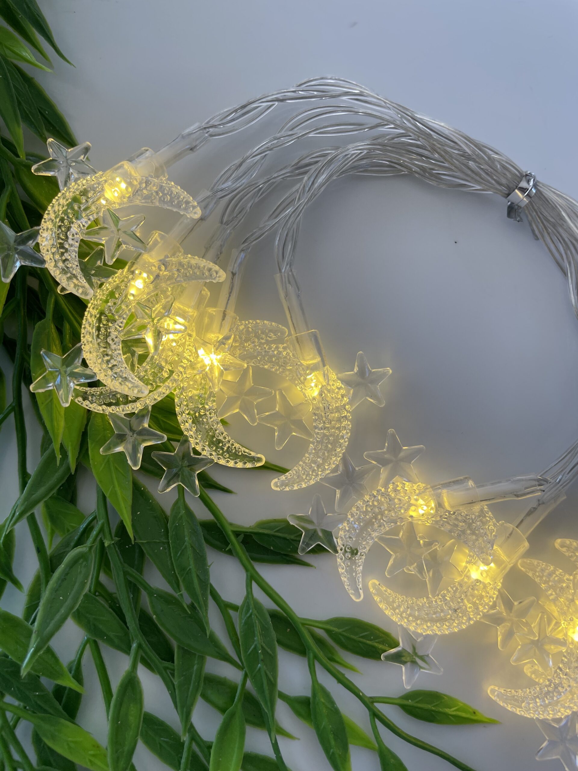 Moon and Star lights