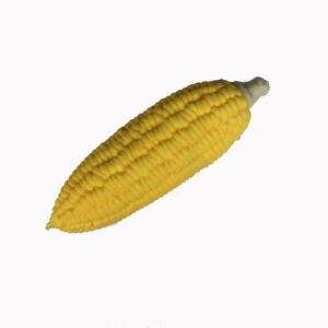 Corn Squishy Toy