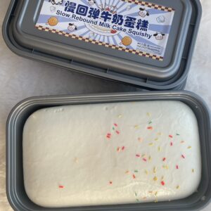 Cake squishy